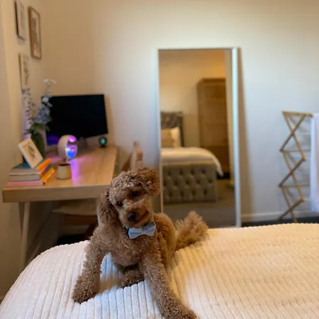 Near Airport Dog Lovers Welcome Bed & Breakfast London