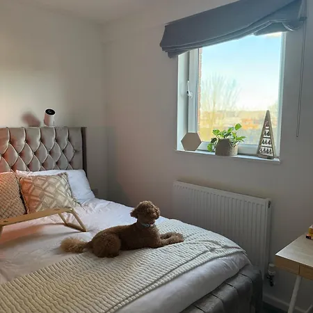 Bed & Breakfast Near Airport Dog Lovers Welcome London