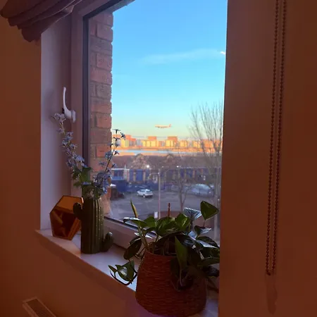 Bed & Breakfast Near Airport Dog Lovers Welcome *