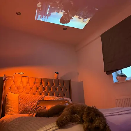 Bed & Breakfast Near Airport Dog Lovers Welcome London