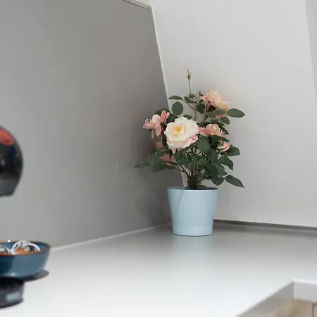 Stylish 2br Clerkenwell Private Outdoor Space Apartment
