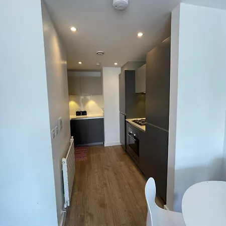 Apartman Modern Large Flat 1min To Stockwell Station With Skyscraper View London