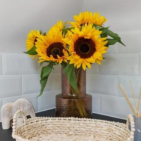 Harrow - Stadium Apartment London