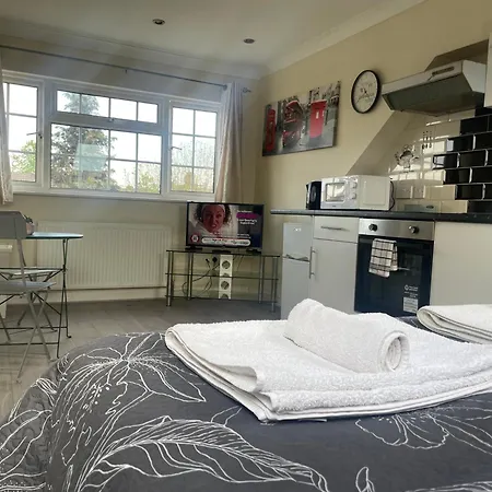 Apartman Amazing Studios - East London Walthamstow *
