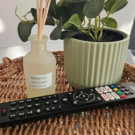 Daire Bright Apt, Great Connection 2b *