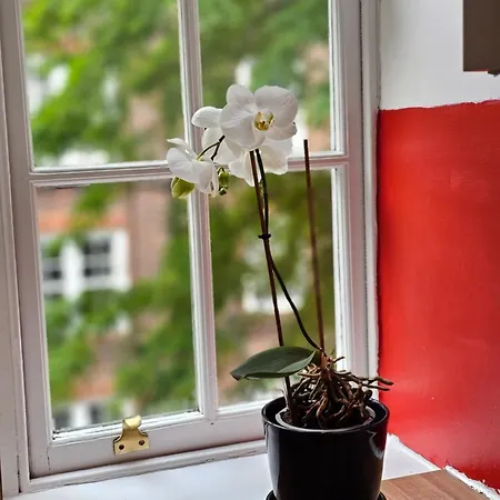 Flat In Hammersmith - Close To Tube Station Apartamento Londres