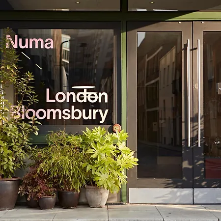Numa Bloomsbury Hotel