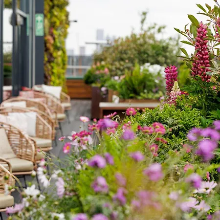 Treehouse London