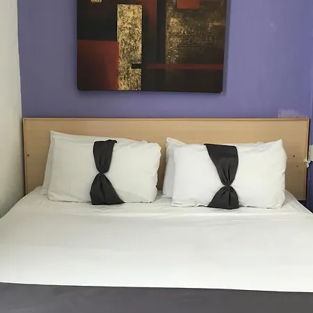 酒店 克拉彭南杜德利酒店