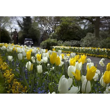 Warren House Hotel 4*