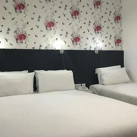 酒店 克拉彭南杜德利酒店
