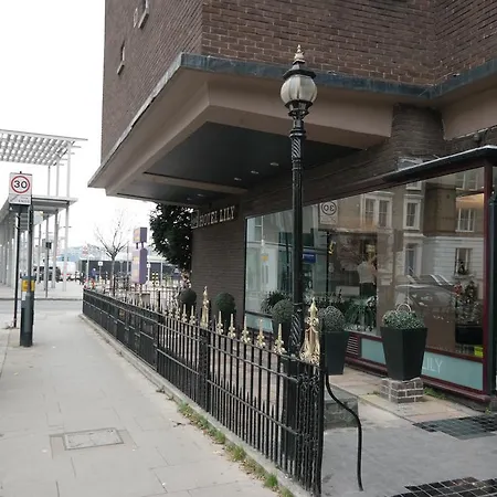 Lily Hotel