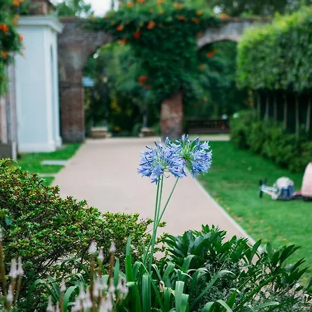 Safestay Kensington Holland Park (adults Only) Auberge de jeunesse