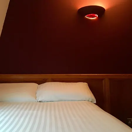 Otel Excelsior 2*
