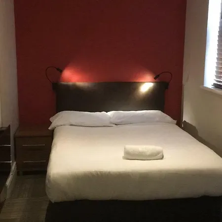 金斯敦公牛灌木酒店