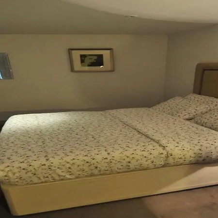 Private Westminster Aparthotel Londra