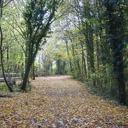 Gilwell Park