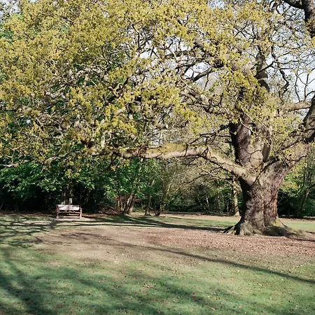 Hotel Gilwell Park Chingford