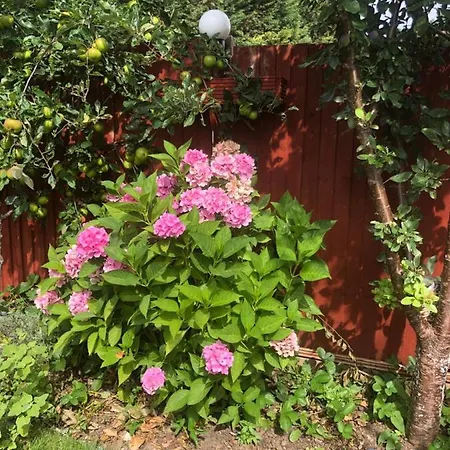Eltham Flat London