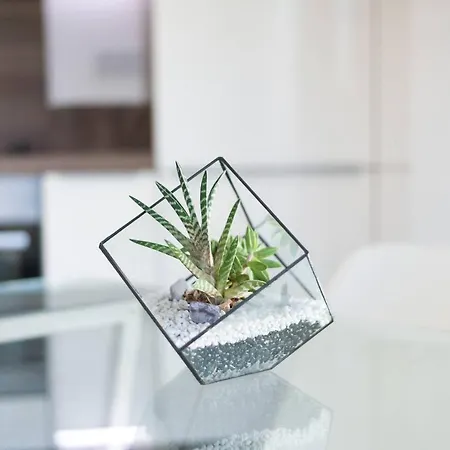 شقة Joivy Lovely Flat With Terrace In Southeast لندن