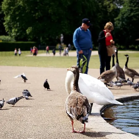Astor Hyde Park (adults Only) * London