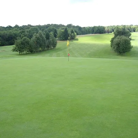 Birch Selsdon 4* Croydon