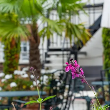 Knightsbridge Roof Garden Hotell 3*