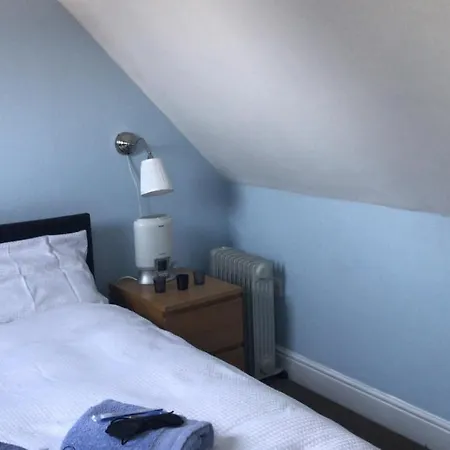 Beautiful Near Excel Center Homestay London