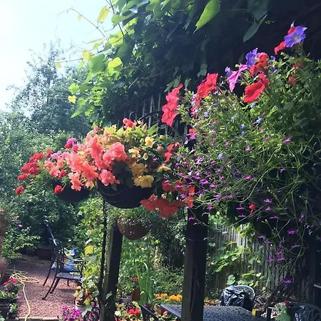 38 Whitehall Road 3*