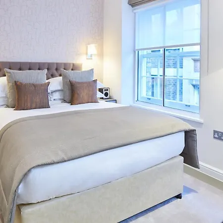 Cheval Calico House Londres