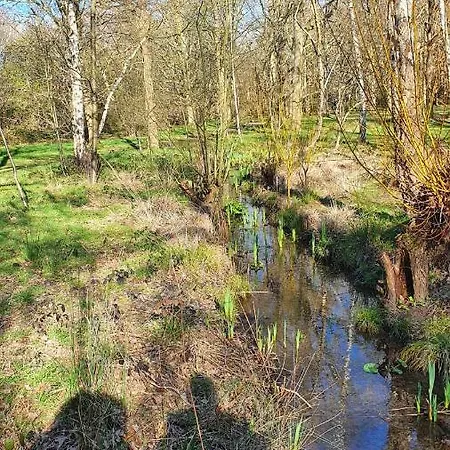 Gardens - Private Double Richmond London - Kew