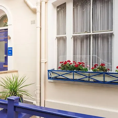 Hotel Dolphin - The