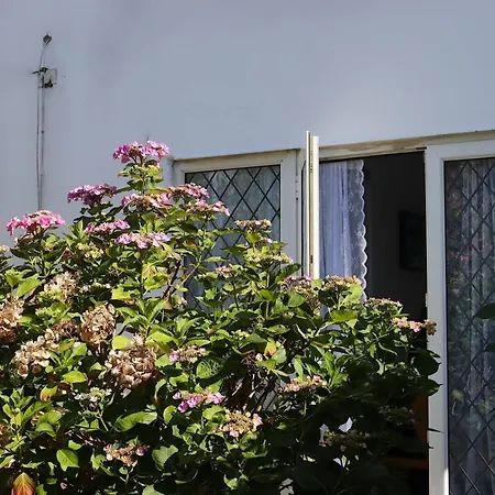Stunning 3 Bedroom With Patio And Back Garden Holiday home Bexleyheath
