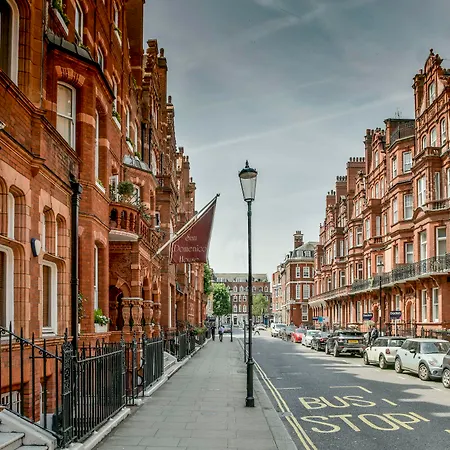 San Domenico House London