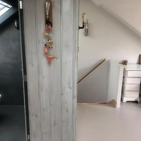 Large, Modern, Light, Open Plan Designer House *