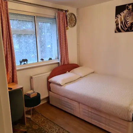 Babus Intl Homestay