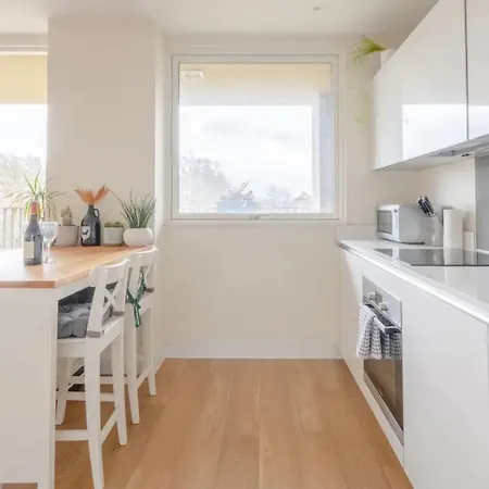 Modern 2 Bedroom Flat In Elephant And Castle Apartment