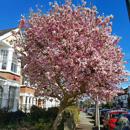 Gardens - Private Double Richmond London - ホームステイ