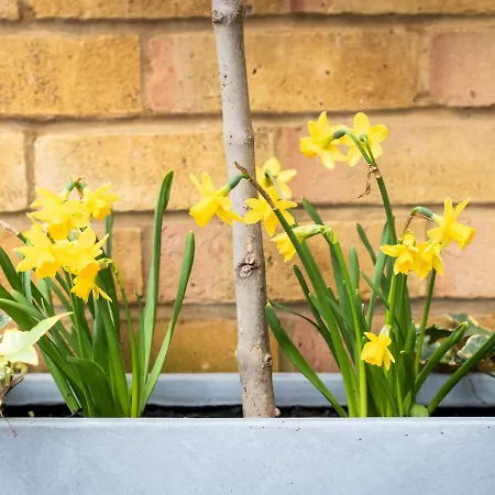 Chic & Cozy Flat In Sw London, Perfect Location! *