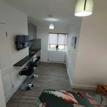 Stylish Studio Flat With Parking Apartment *
