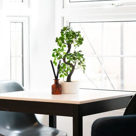 Apartment Pass The Keys King S Cross Urban Oasis *