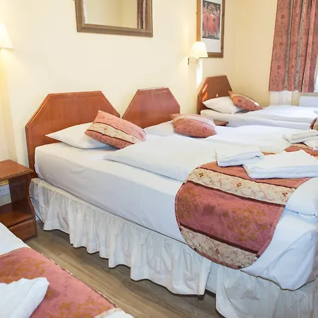 Dolphin Hotel 3*