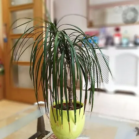セントラル ホテル