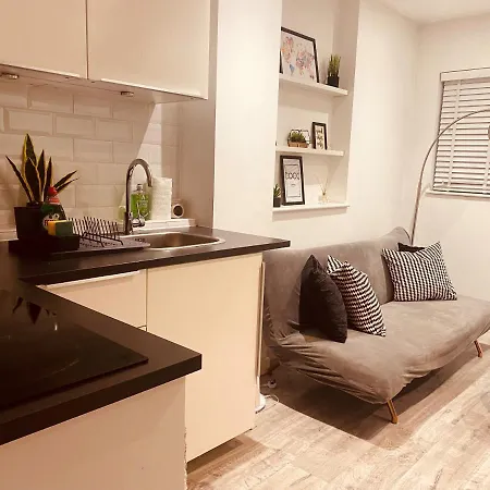 Modern 1 Bed Flat In The Heart Of Hackney Appartement