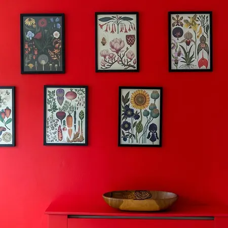 Striking Flat With Charming Garden And Desk *