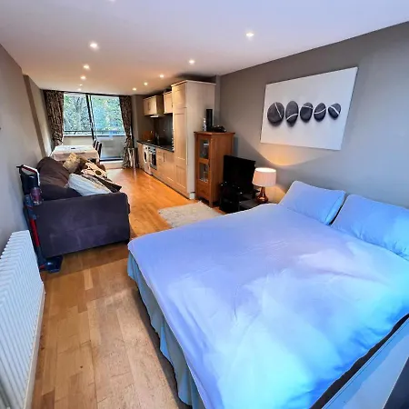 Apartahotel River Thames View Entire Next To Tate Modern And St Paul Cathedral Londres