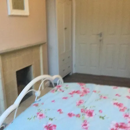 Tdm Bachelot Lettings Ltd *