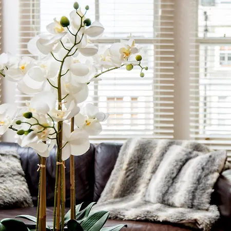 Apartment Linden Gardens London