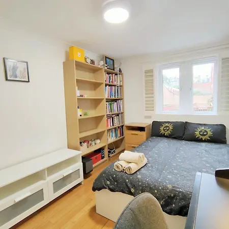 Spacious 3-bed Cosy Flat In Westminster Apartment