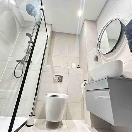 Apartment Spacious 1br Flat With Private Bath And Kitchen In Canary Wharf 2 London
